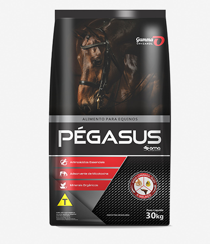 Pégasus Elite