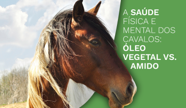 A Saúde Física e Mental dos Cavalos: Óleo Vegetal vs. Amido