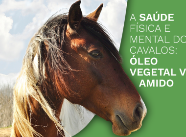 A Saúde Física e Mental dos Cavalos: Óleo Vegetal vs. Amido