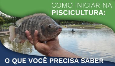 Como Iniciar na Piscicultura: O que Você Precisa Saber