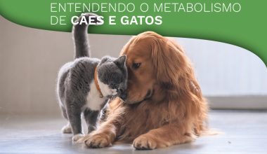 Metabolismo de Cães e Gatos