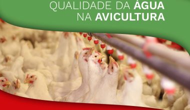 Qualidade da Água na Avicultura