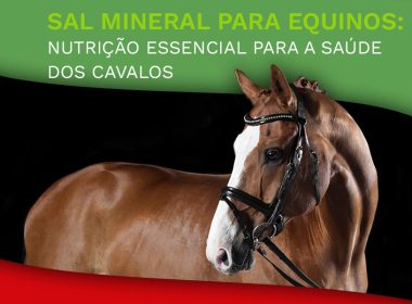 Sal Mineral para Equinos: Nutrição Essencial para a Saúde dos Cavalos