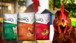 A Importância do prebiótico e probiótico na nutrição das aves 