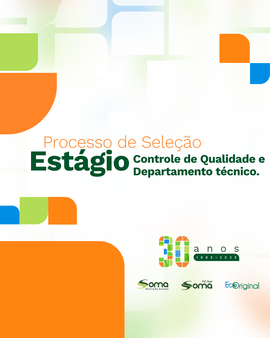 Vaga Soma Estágio - Site