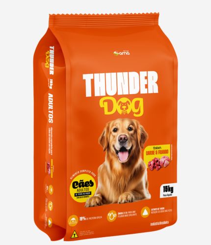 Thunder – Dog